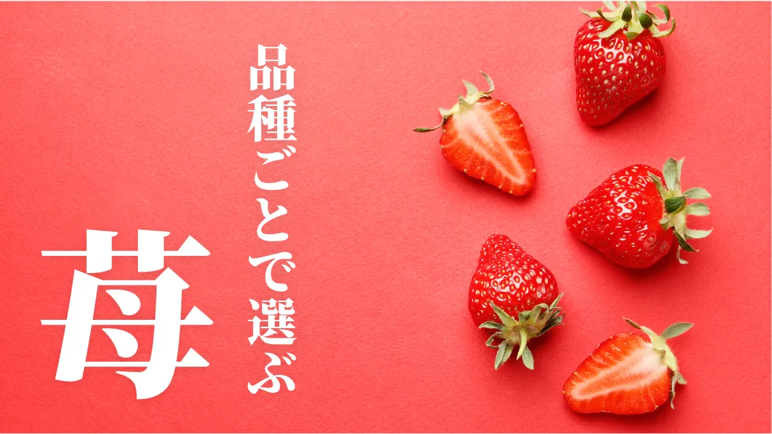 品種ごとで選ぶ いちご