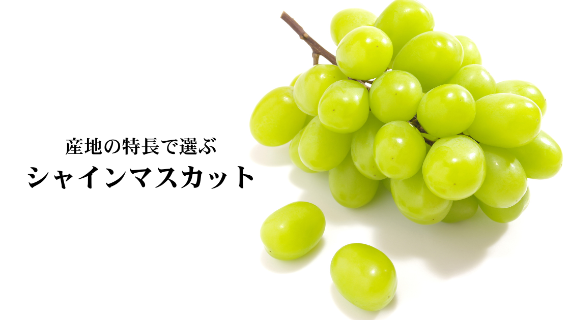 産地の特長で選ぶ シャインマスカット